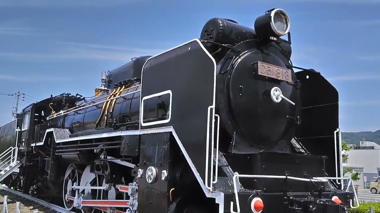 D51813