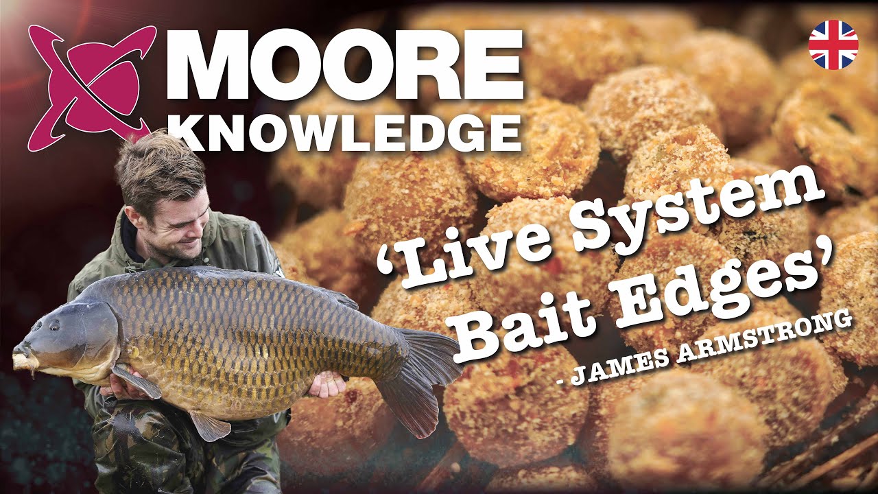 Create The BEST Winter Boilie Mix- Carp Fishing Tips