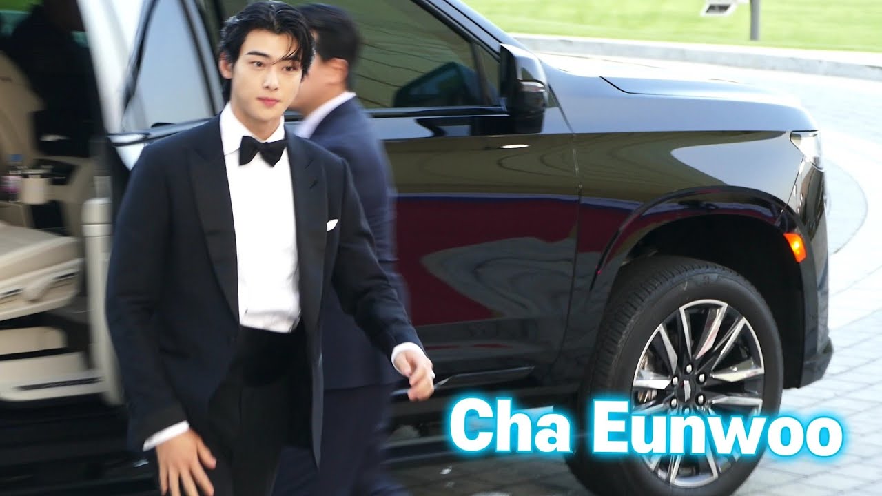 차은우(Cha Eunwoo) | 청룡시리즈어워즈 Red Carpet