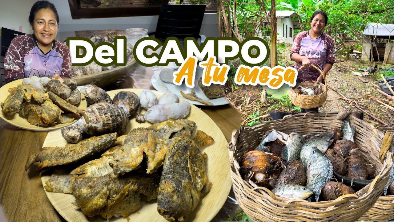 ¡Mira lo que cosechamos y cocinamos hoy en el campo! | Erika Taizha