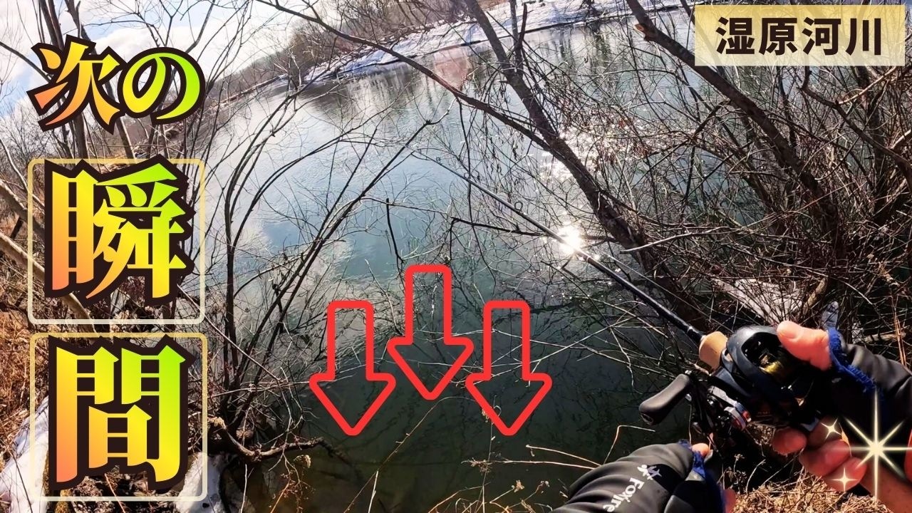 あるある、木の中に潜む魚の前にルアーを落とすと・・・。北海道湿原河川、激渋の中でヒット！