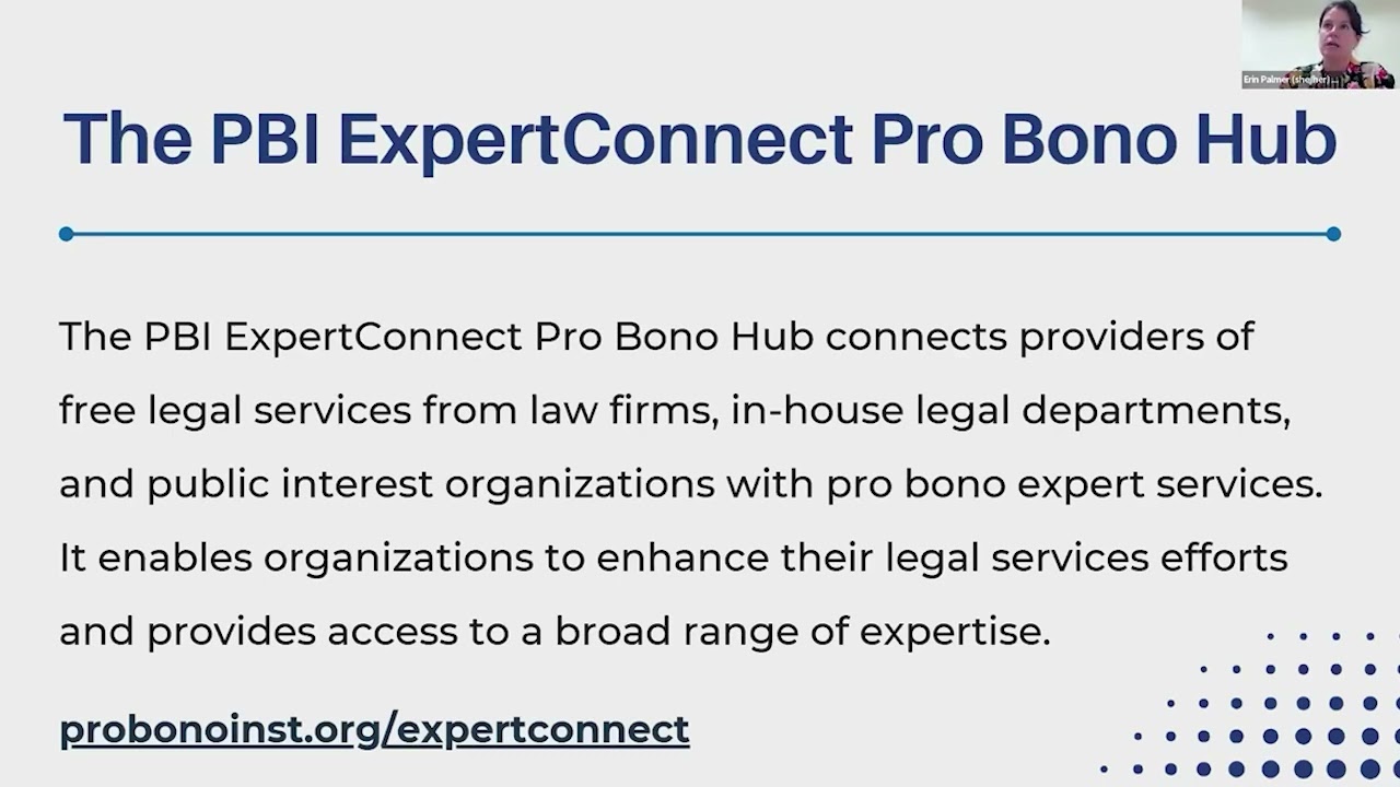 The PBI ExpertConnect Pro Bono Hub Explained