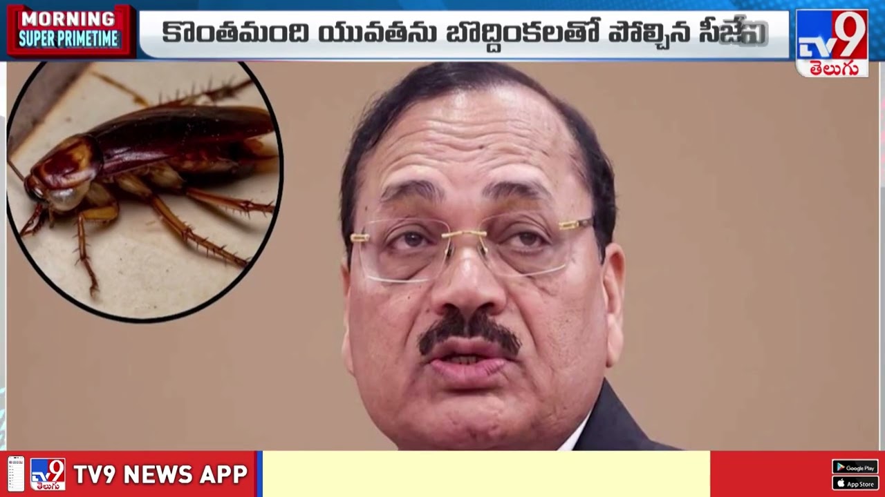 &lsquo;Cockroach Janata Party&rsquo; Trends on Social Media | Political Trolls Go Viral -TV9