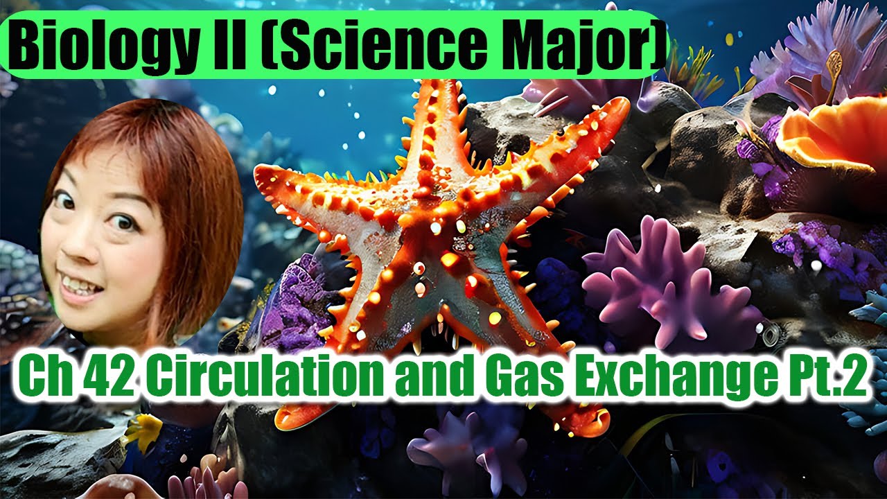 Ch 42 Circulation and Gas Exchange Part 2