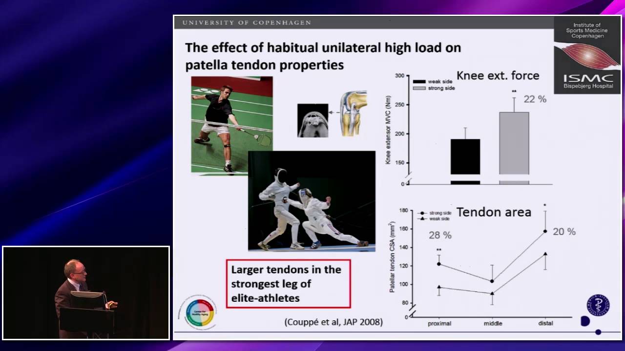 Tendon overuse and development of injury, Michael Kjaer