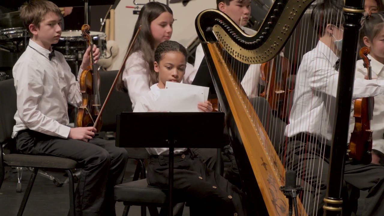 Cascade Youth Symphony Orchestras - Winter Concert March 1, 2026 - Sinfonette Orchestra