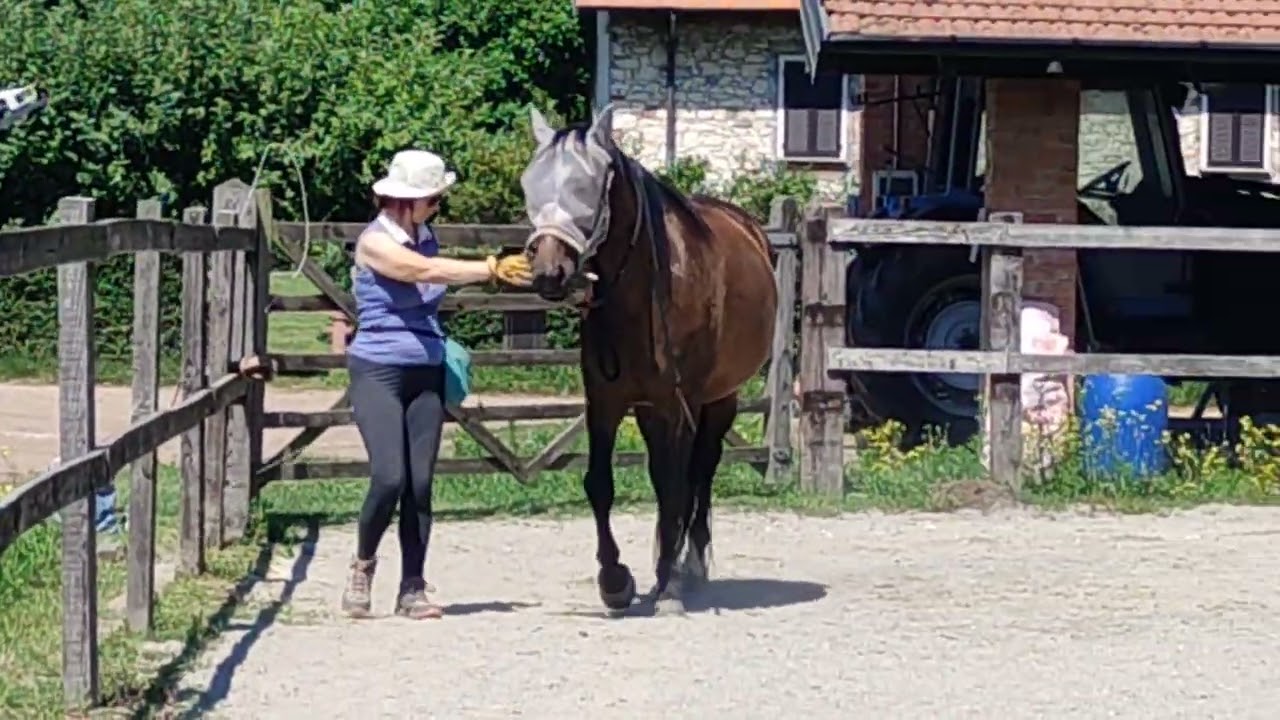2023-06-25 Indomita flesso dritto-controflessione mano sx.Ginnastica di flessibilit&agrave;