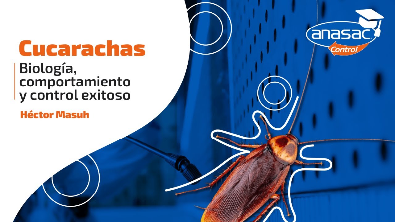 9° SEMINARIO INTERNACIONAL DE CONTROL DE PLAGAS |  CUCARACHAS - HÉCTOR MASUH