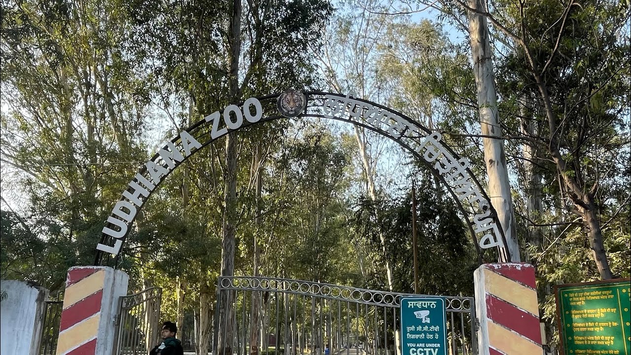 Escape to the Wild: A Day at Ludhiana Zoo (Tiger Safari) 🐅🌿 #ajitmines #ludhiana 