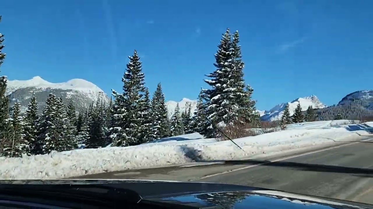 Silverton, skijoring, Million Dollar Highway, Honeyville