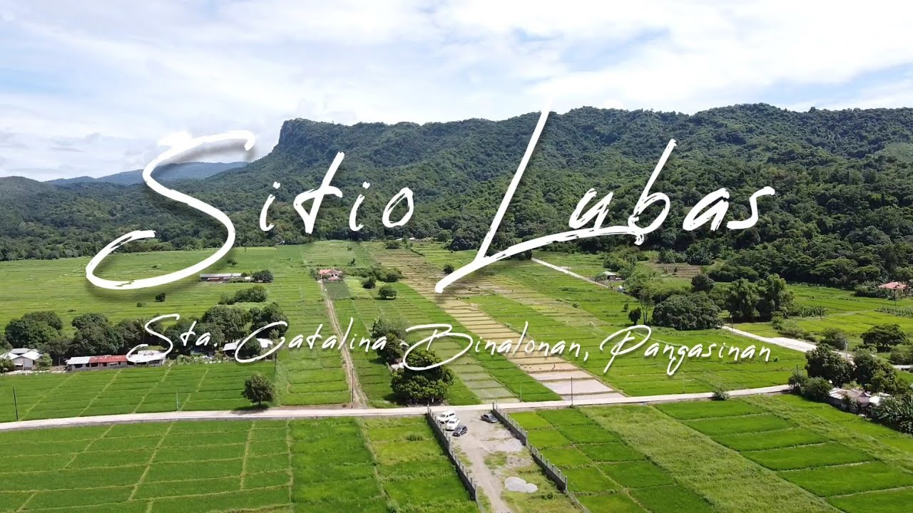Sitio Lubas Sta. Catalina Binalonan Pangasinan | Flower Farm 🌻🌻⚘⚘🌺🌺🌿🌿🌾🌾