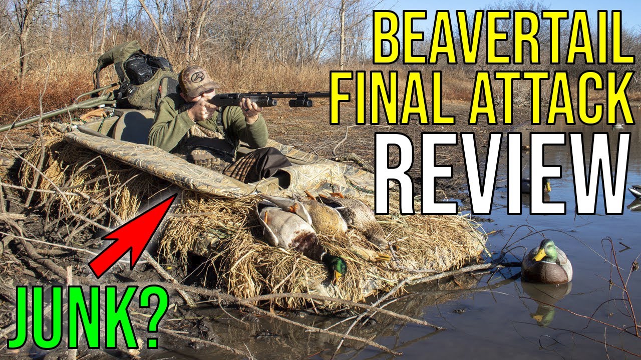 Beavertail Final Attack Review | IS IT JUNK?!?!?