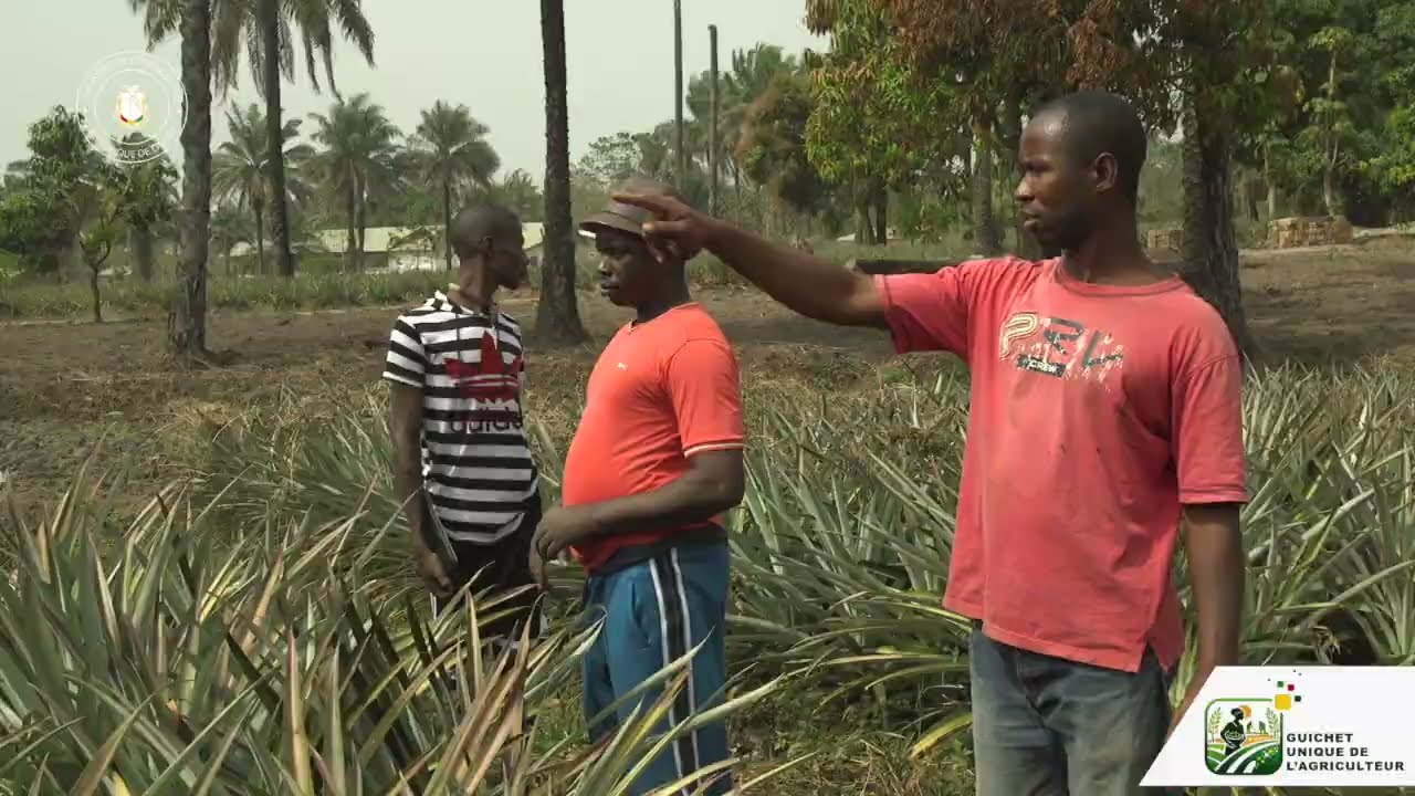 GUICHET UNIQUE DE L'AGRICULTEUR BY SAKOM