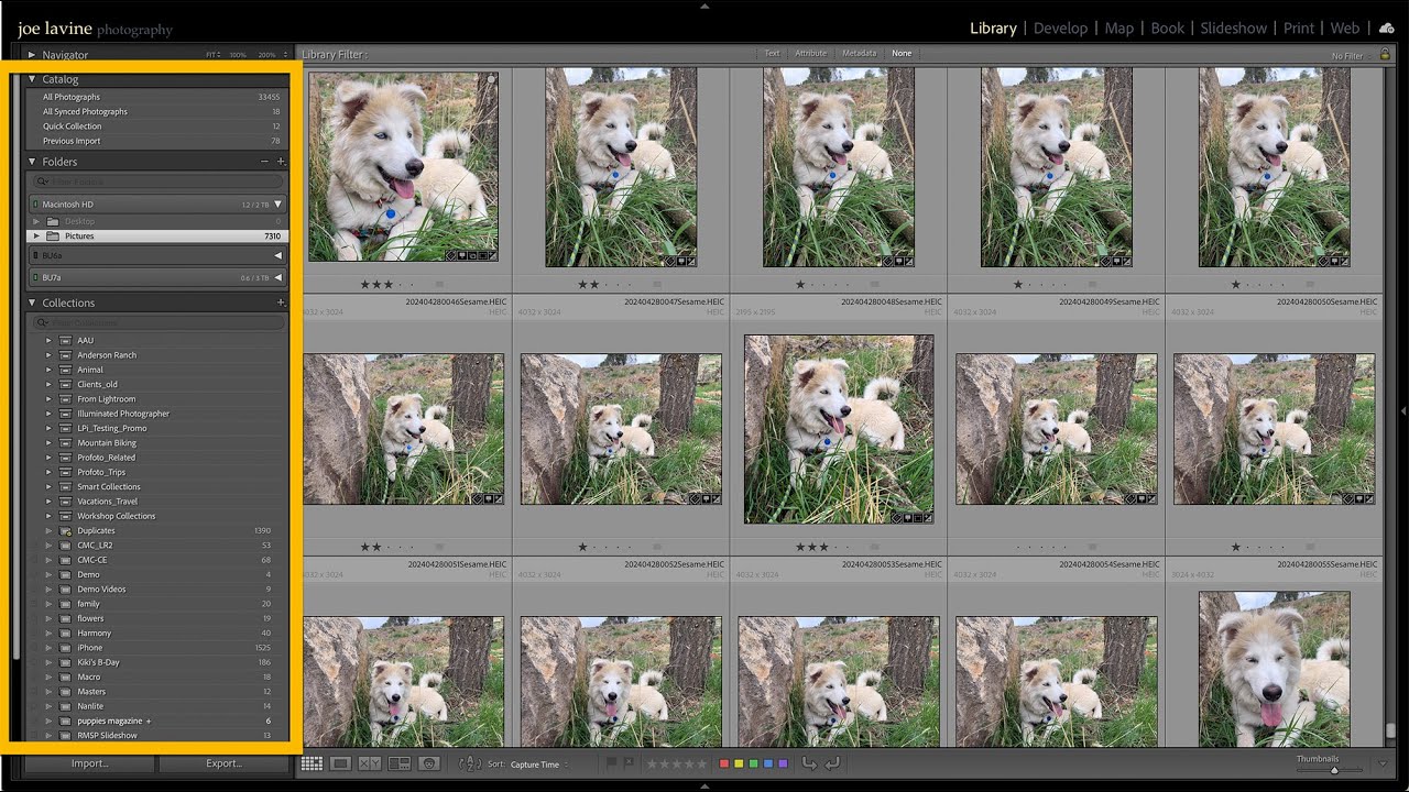 Adobe Lightroom Classic: What&rsquo;s the Difference Between a Catalog, Library, and Collections