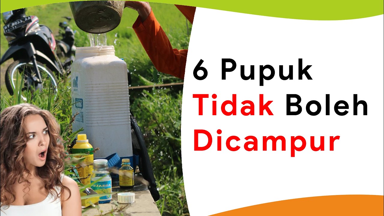 6 Pupuk yang Gak Boleh Dicampur Insektisida/Fungisida