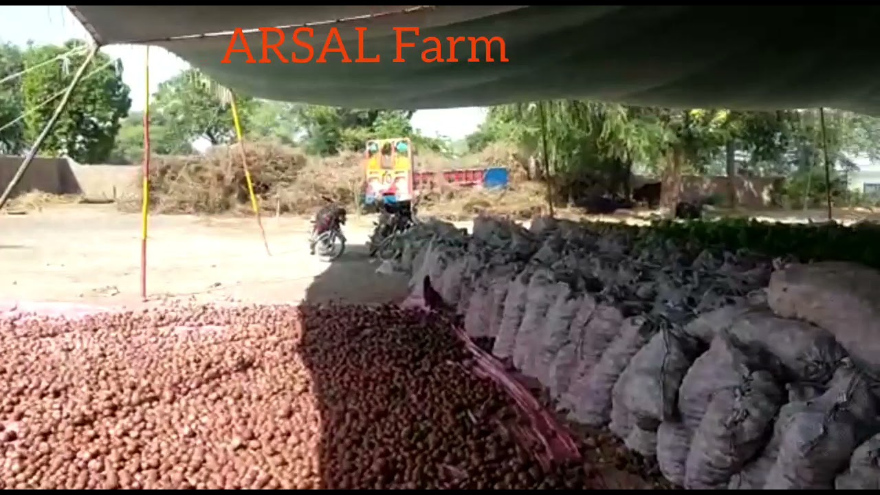 ARSAL Farm