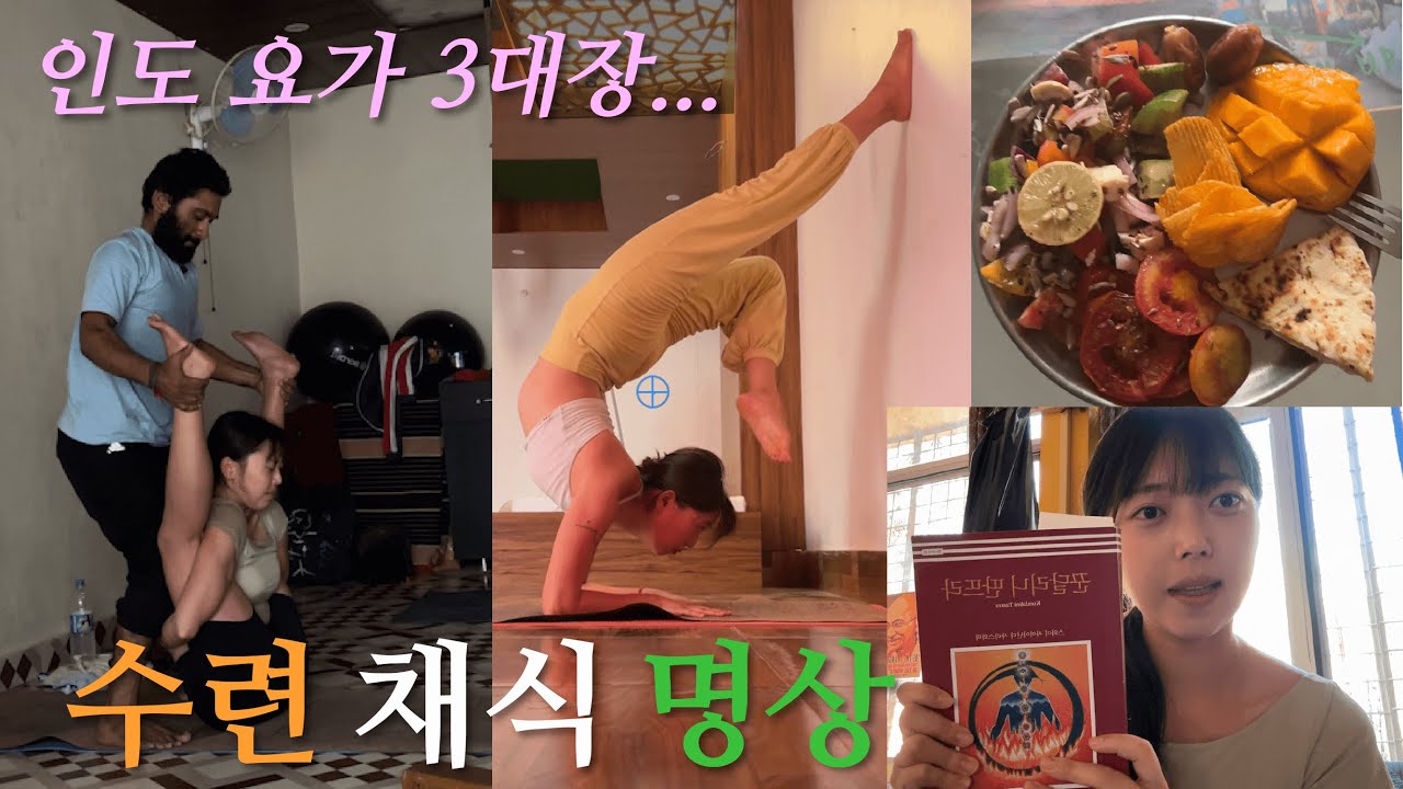 인도 요가 3대장! 수련, 채식, 명상 yoga classes in India Rishikesh | 리시케시 마지막편, ttc, 인도요가강사자격증