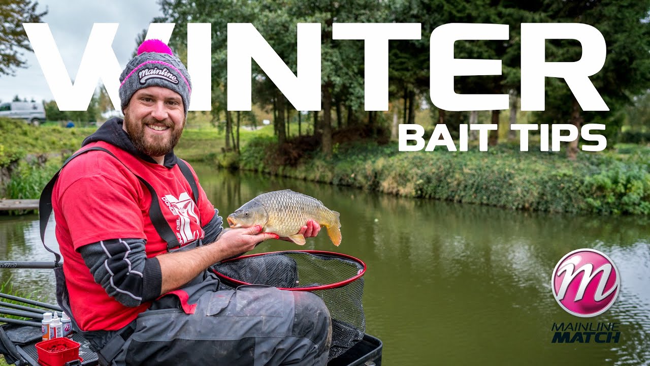 Winter Bait Tips. Mainline Match Fishing TV
