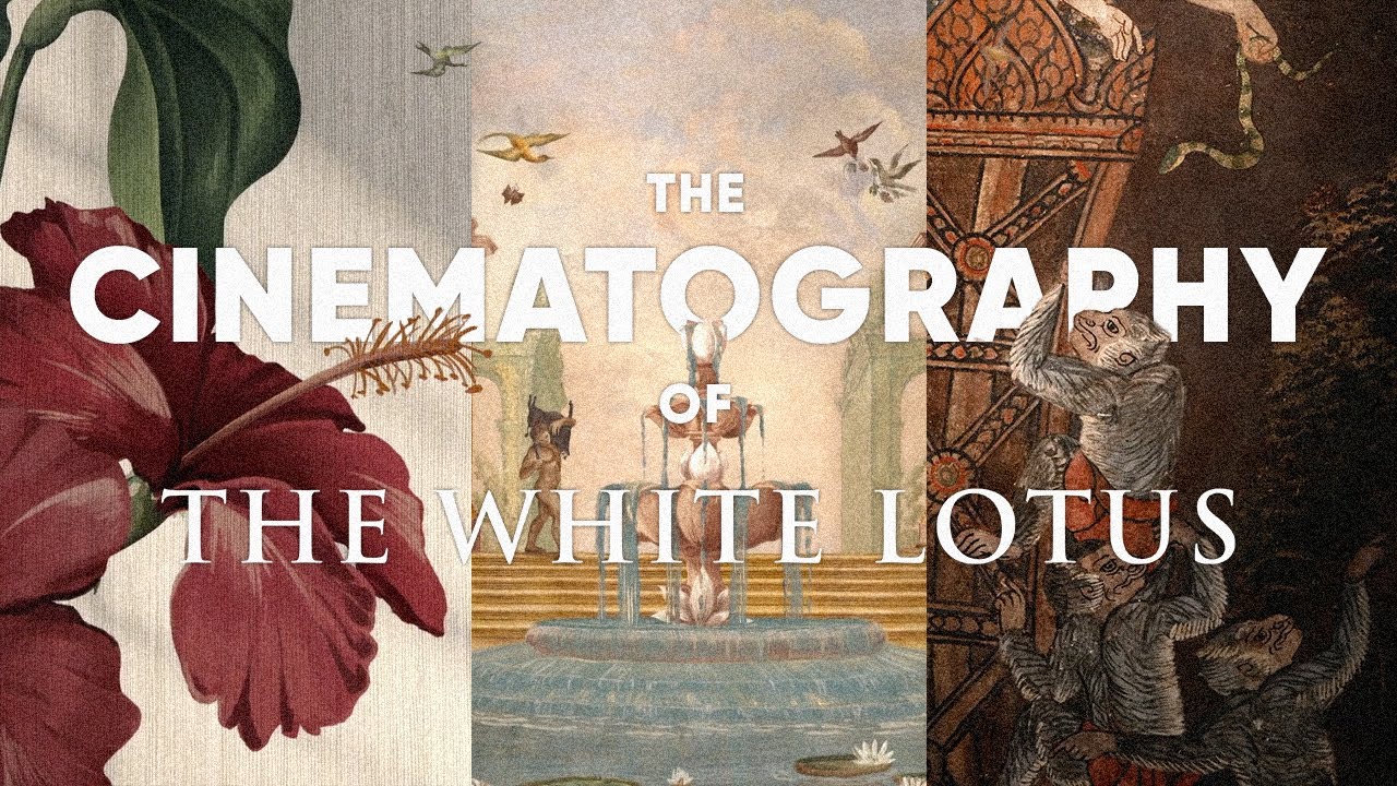 The Beauty of The White Lotus