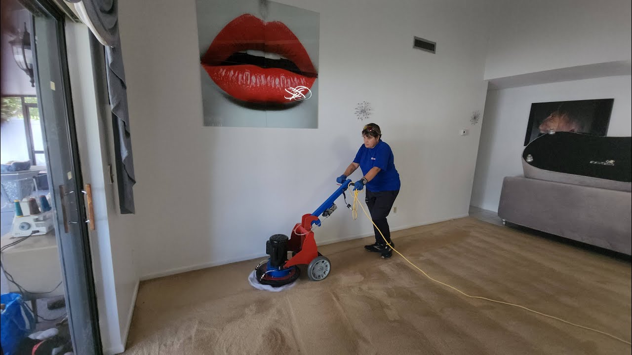 Satisfying ASMR Carpet Cleaning with the Phoenix Op Machine