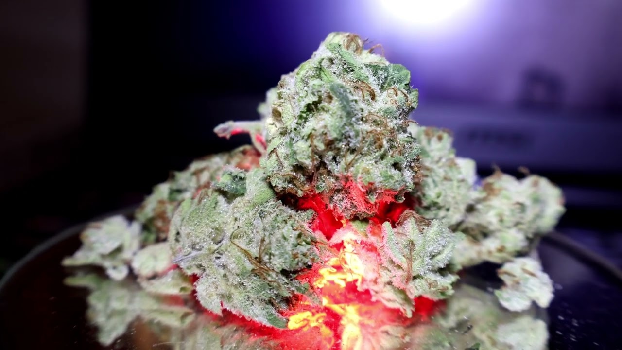 Guava Cake by Fireline Cannabis! (5/5 Tommy Chongs)