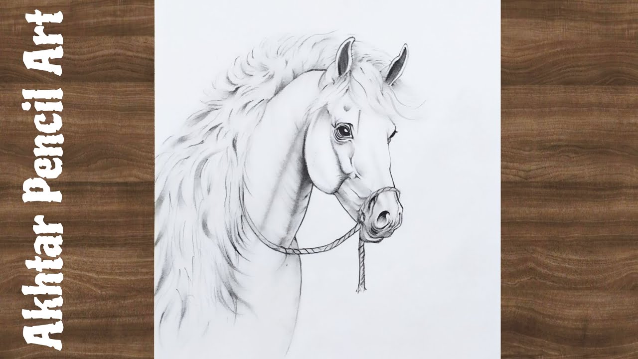 How To Draw A Horse Easy / Beautiful Horse Drawing Step By Step / Horse Pencil Art / Drawing Ideas 