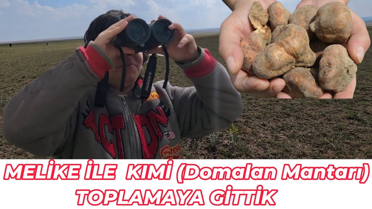 MELİKE İLE  KIMİ (Domalan Mantarı) TOPLAMAYA GİTTİK