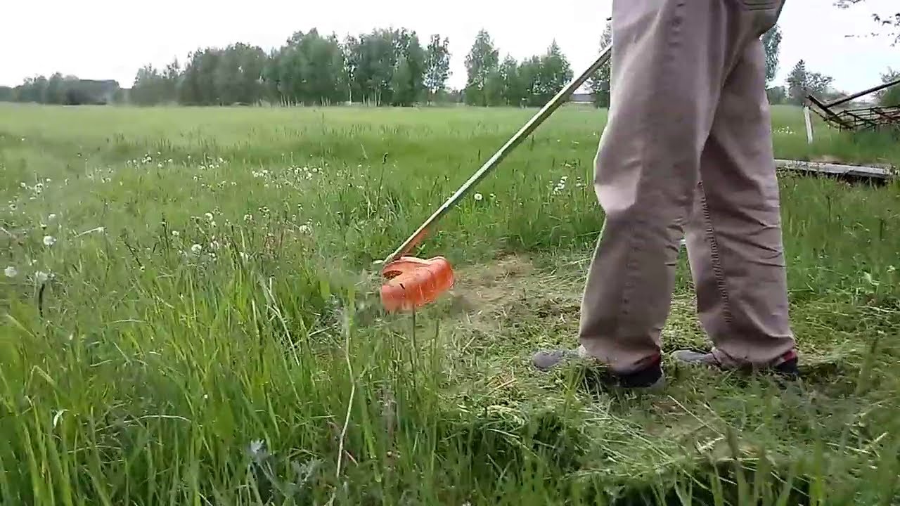 Kosa spalinowa Stihl FS55 test