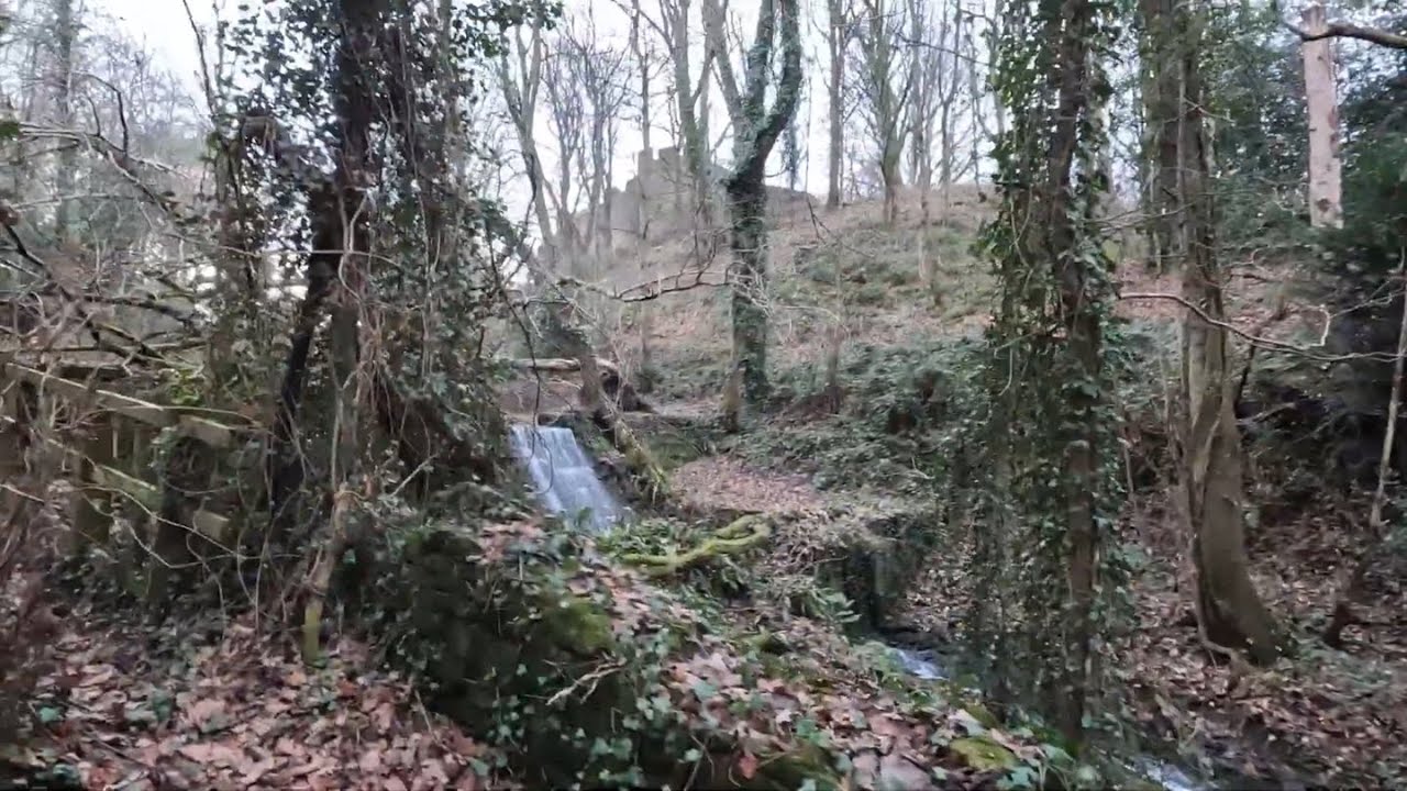 Prudhoe and Wylam with Interesting Walks NE (9.6 miles) - Another mild day