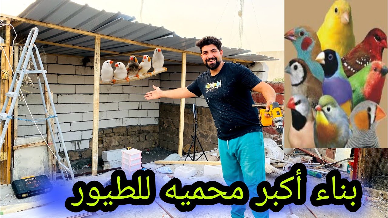 بناء أكبر محميه لجميع الطيور😱فحص بيضات ام نعيم🐓