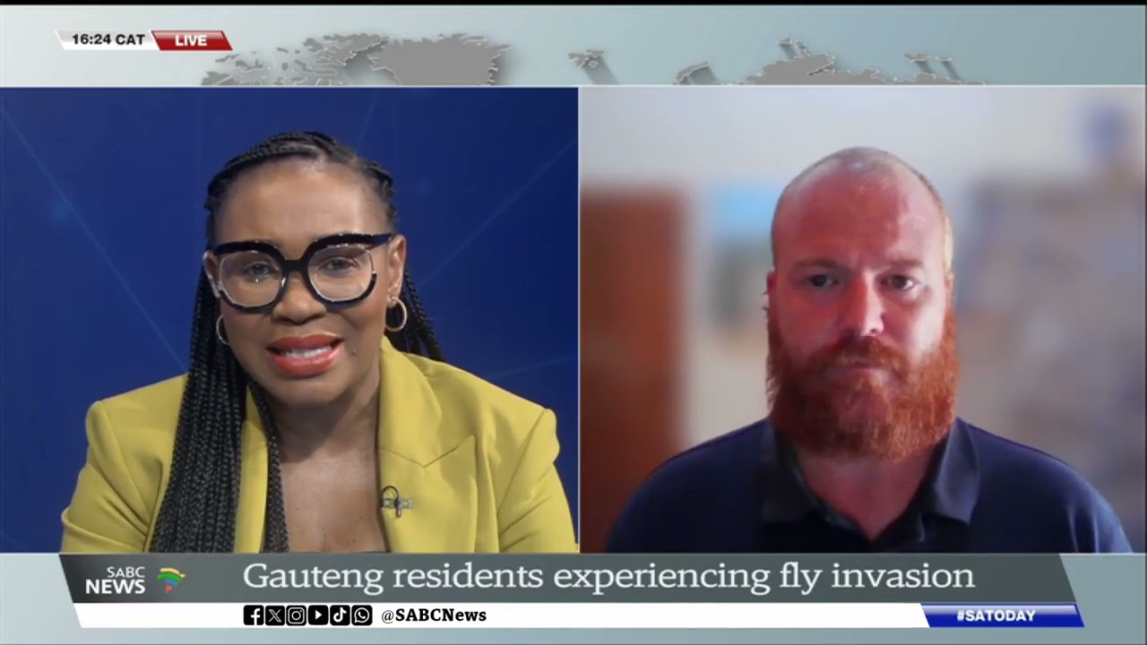 Gauteng residents experience fly invasion: Dr John Midgley weighs in