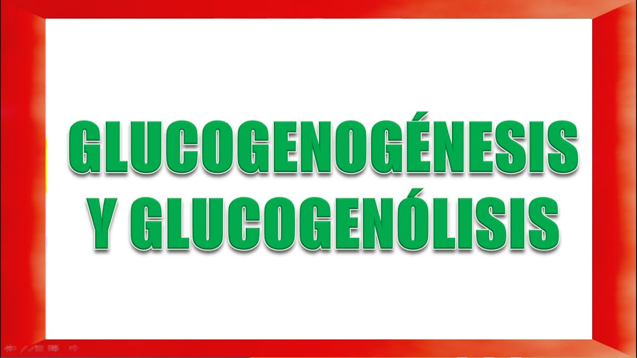 GLUCOGENOGÉNESIS Y GLUCOGENOLISIS