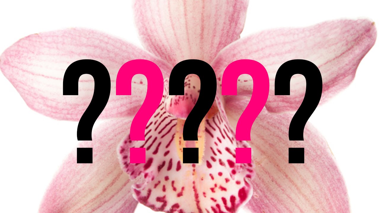 7 Questions All Women Have