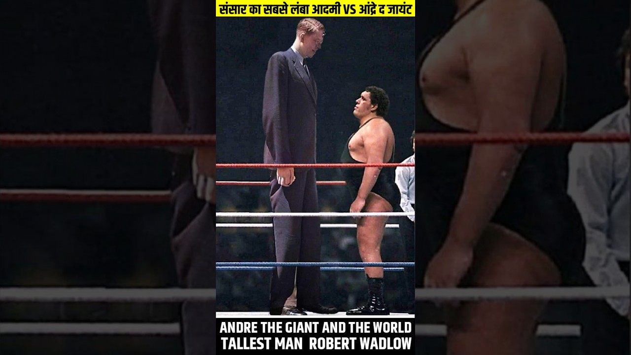 Andre The Giant Vs World Tallest Man 🤯 | #shorts #wweshorts #wwehindi #wwe #andrethegiant #ytshorts