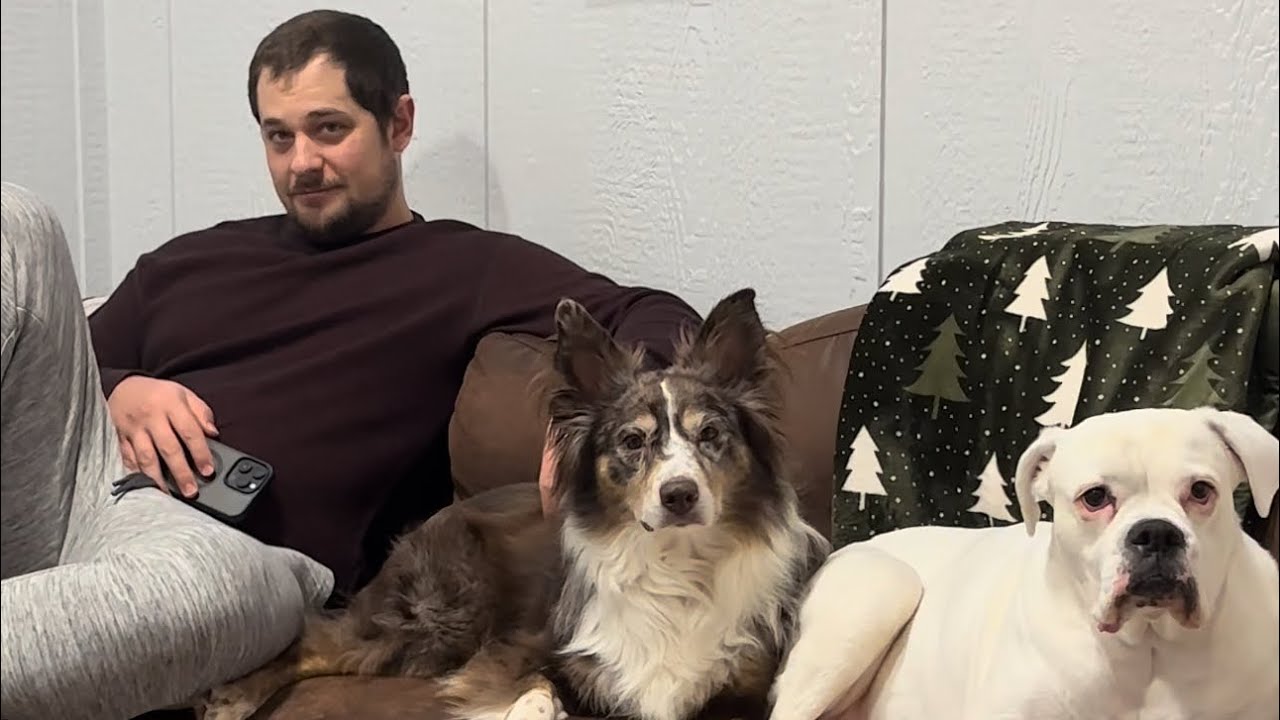 New Years Resolutions (pt 1) #funnydogs #skit #funny