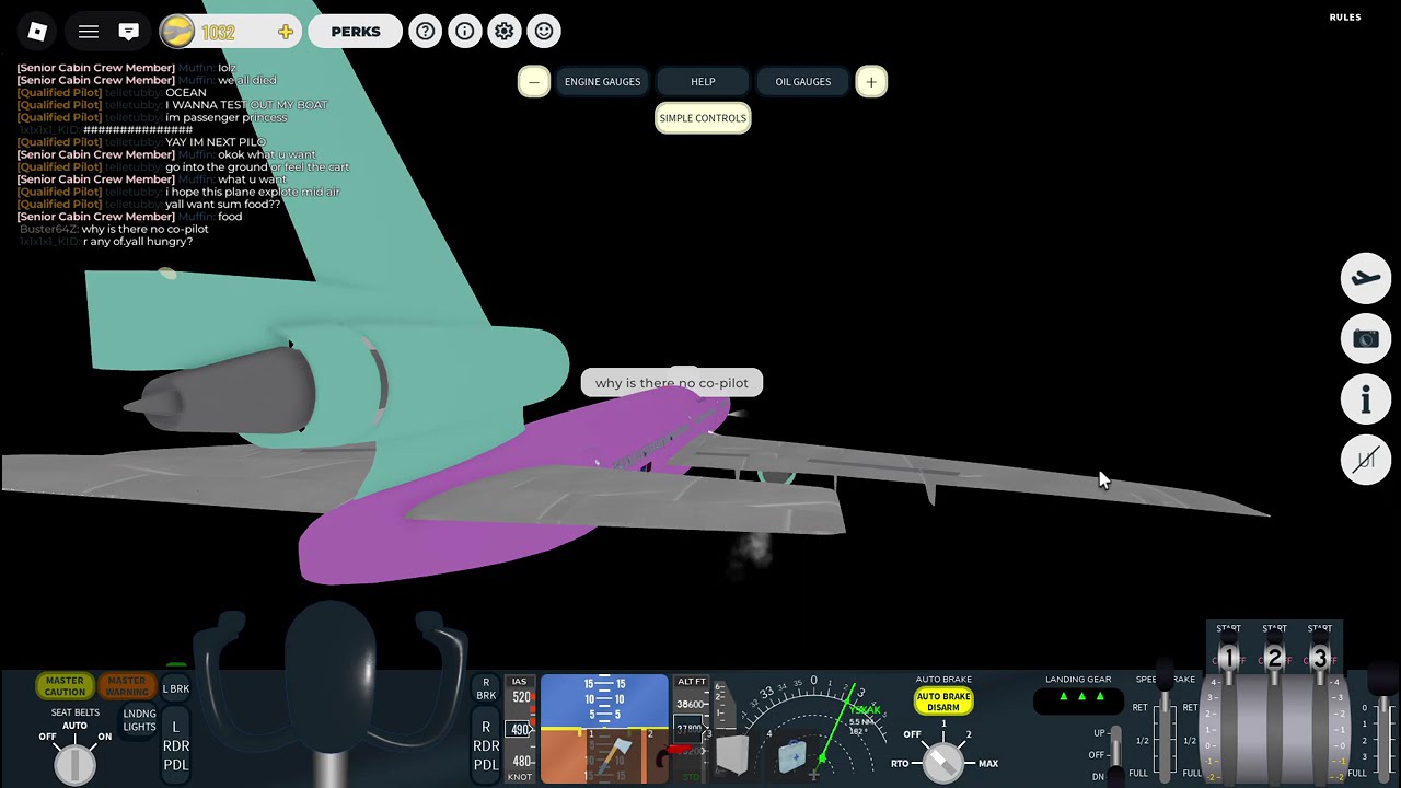 Strawberry Jelly Flight: 523 CRASH in emergency landing.