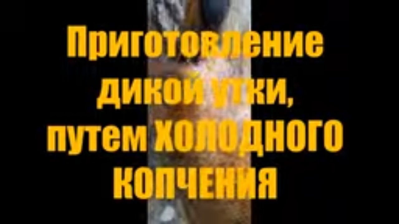 Холодное копчение диких уток