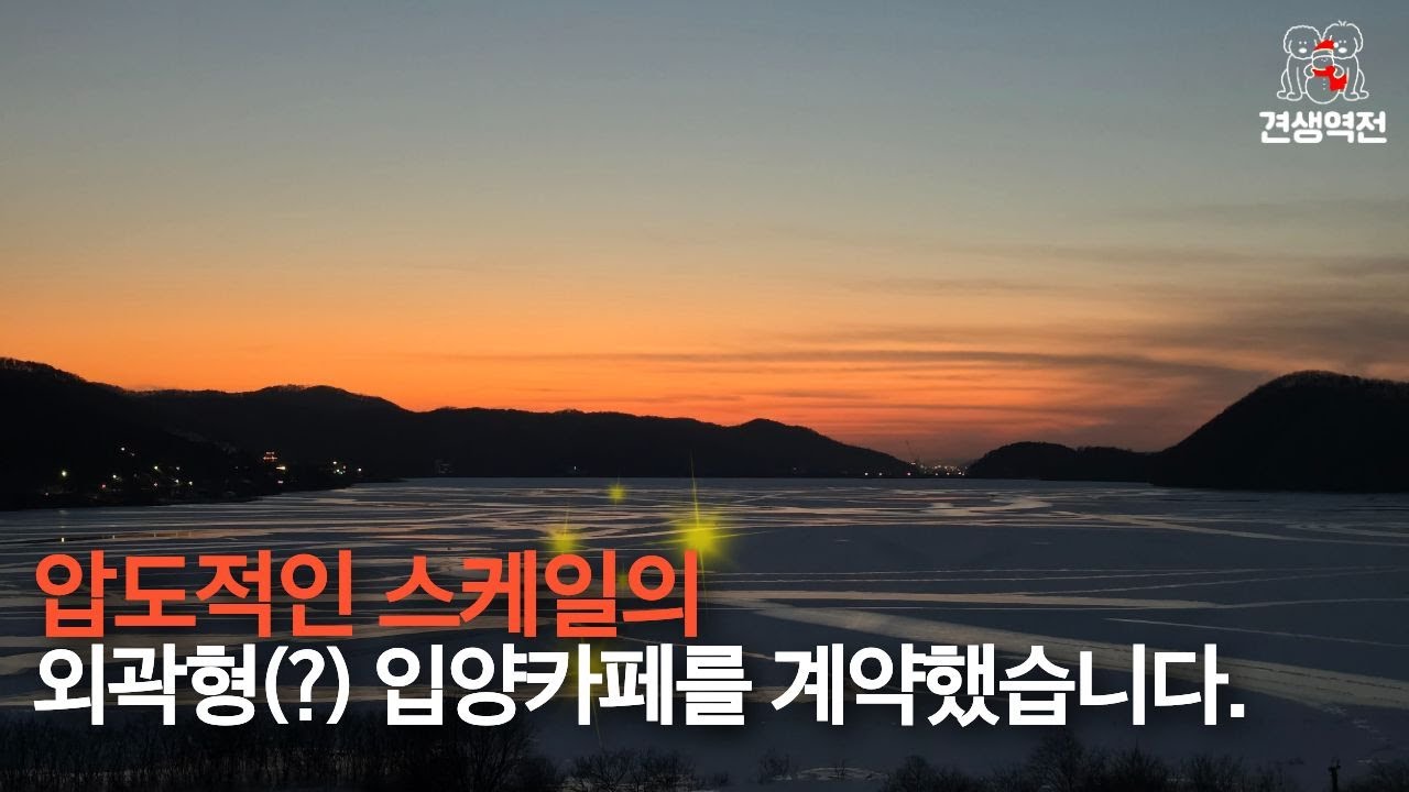 압도적인 스케일의 외곽형(?) 입양카페를 계약했습니다. #카페브라운