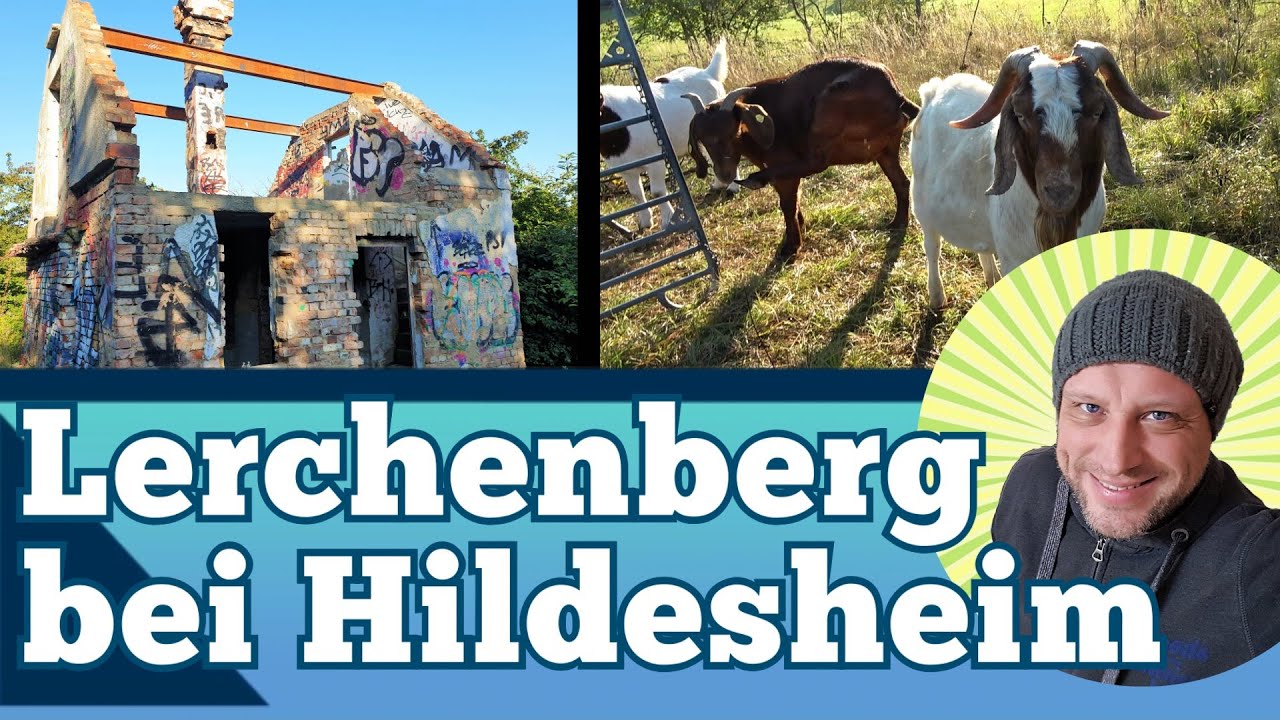 Der Lerchenberg bei Hildesheim - Wanderung über Gallberg, Finkenberg und Rottsberg - Giesener Berge