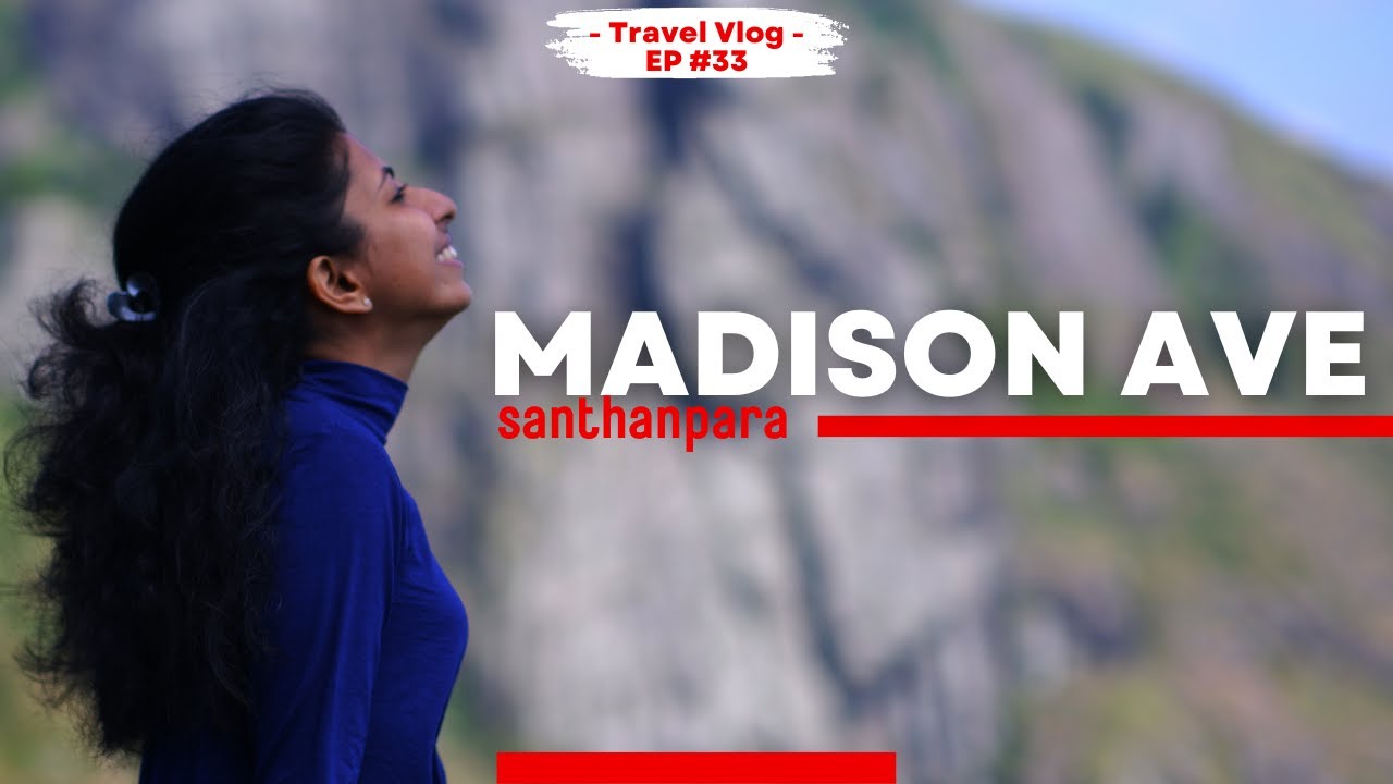A day at Madison ave Munnar | Offbeat stay near Munnar | Forest Resort | Stay Experience