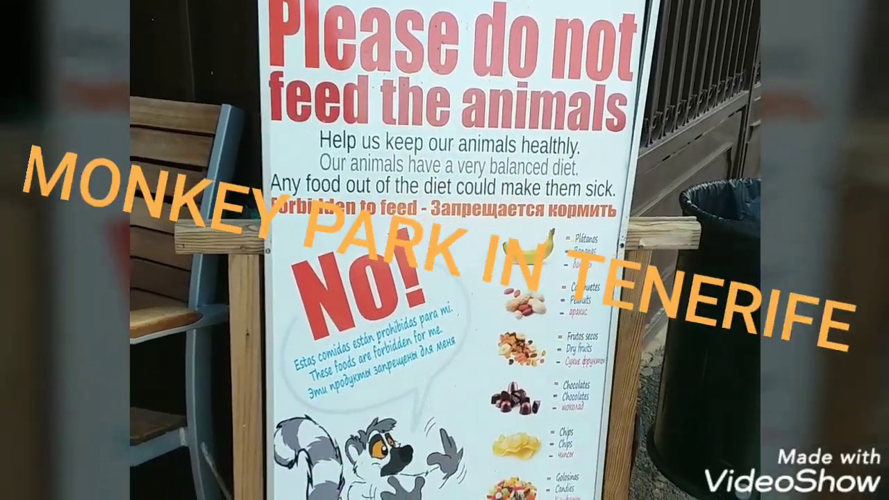 MONKEY PARK IN TENERIFE! Смешные обезьянки!