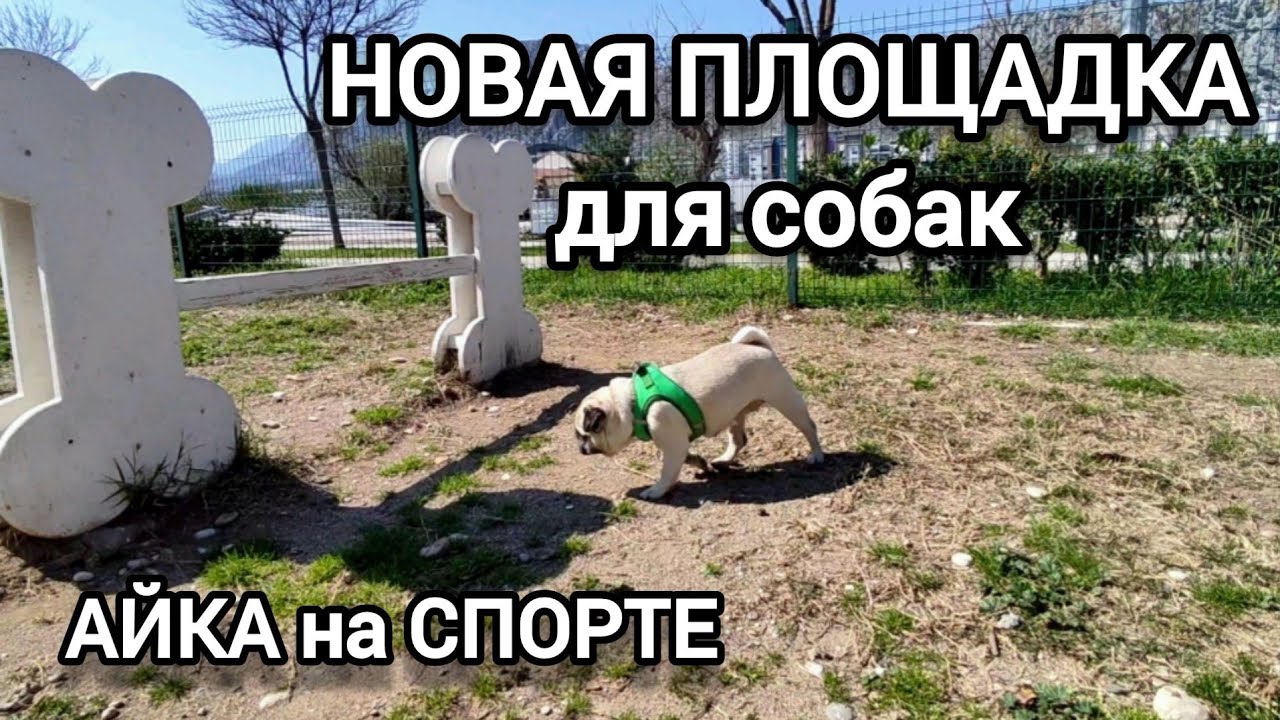 С первым днём весны 🌸 Ничего не загадываем ☺ #анталья 