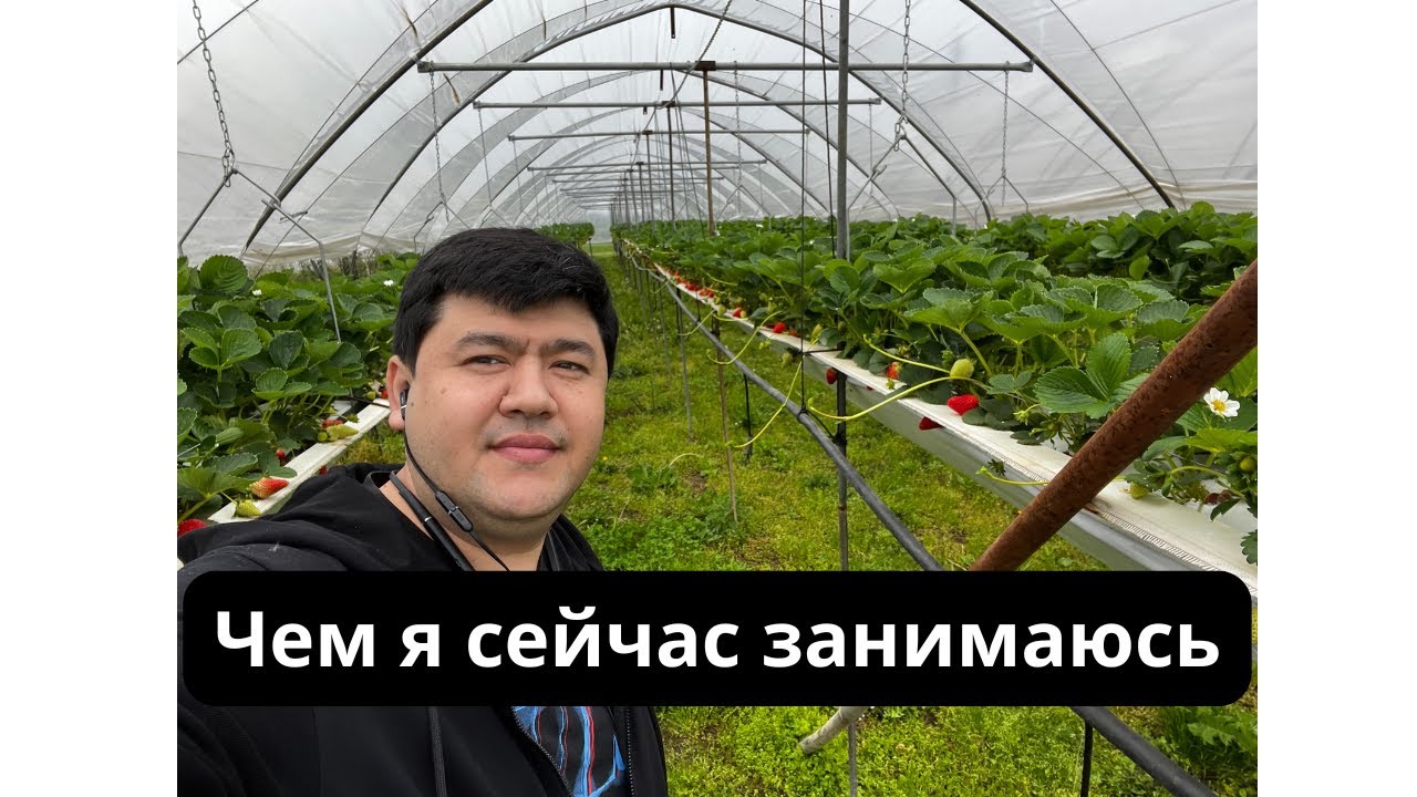 Чем я сейчас занимаюсь