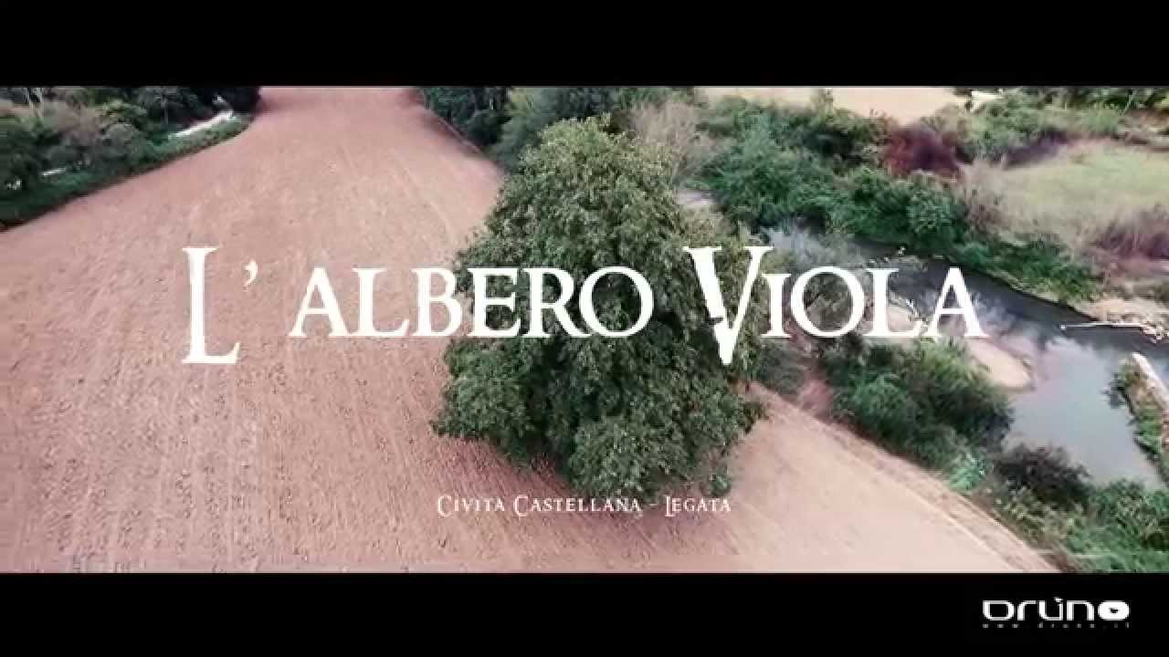 civita castellana  legata | video con drone