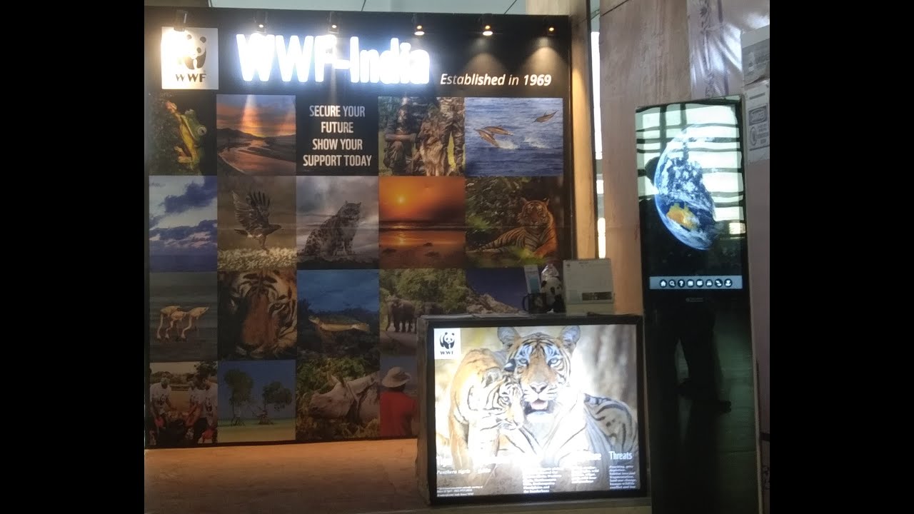 Jaipur Airport Vlog- WWF and other Amenities @ Terminal 2 of Jaipur Airport
