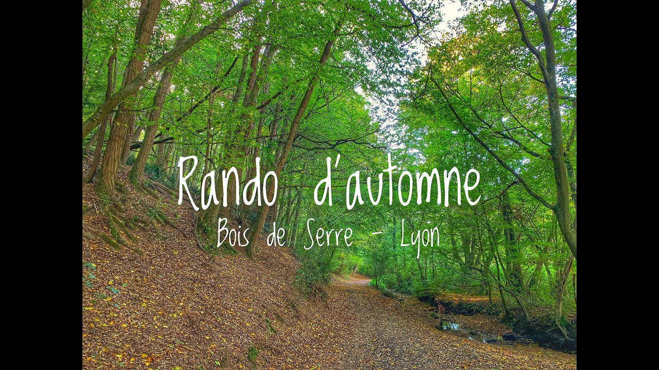 Randonnée d'automne dans le Bois de Serre à Lyon