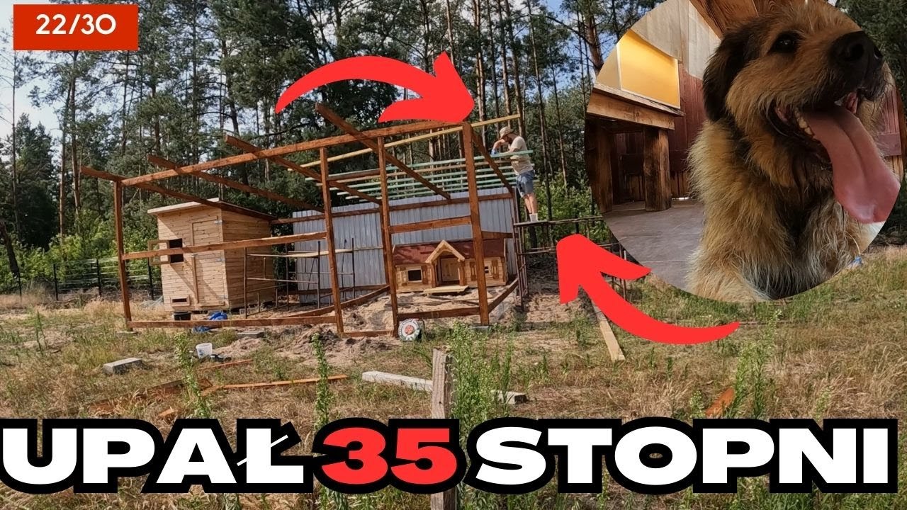 Budowa więźby dachowej nad wybiegiem dla królików