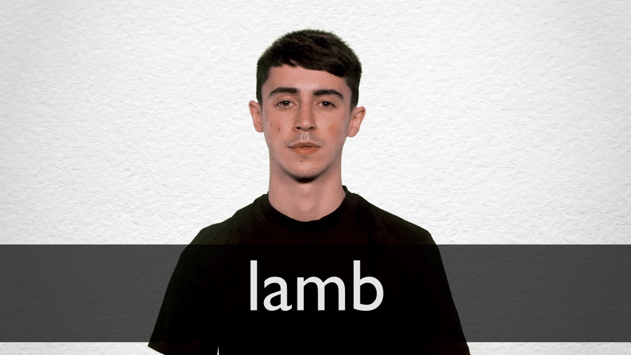 How to pronounce LAMB in British English
