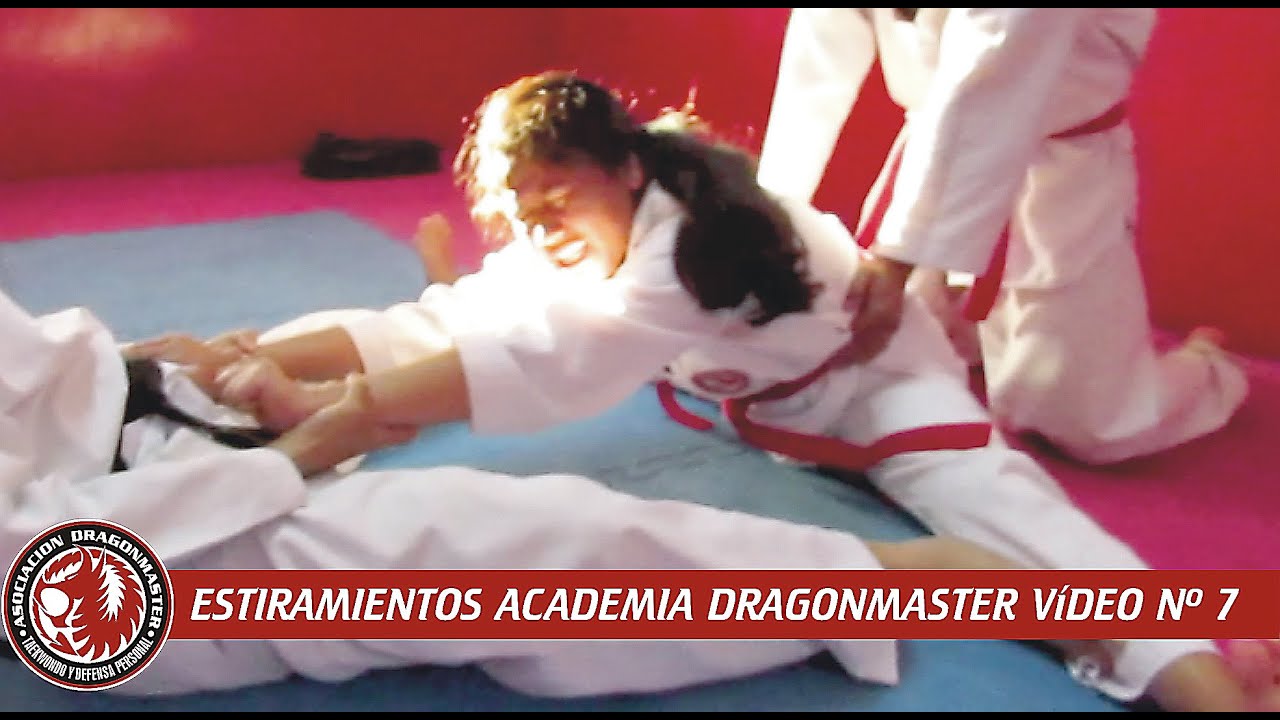 ESTIRAMIENTOS ACADEMIA DRAGONMASTER PARTE 7
