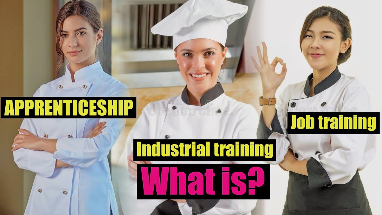 Konsi Training Best hai apke liye? || Apprenticeship,IT or JT? || Chefs Best Training opportunity⏰